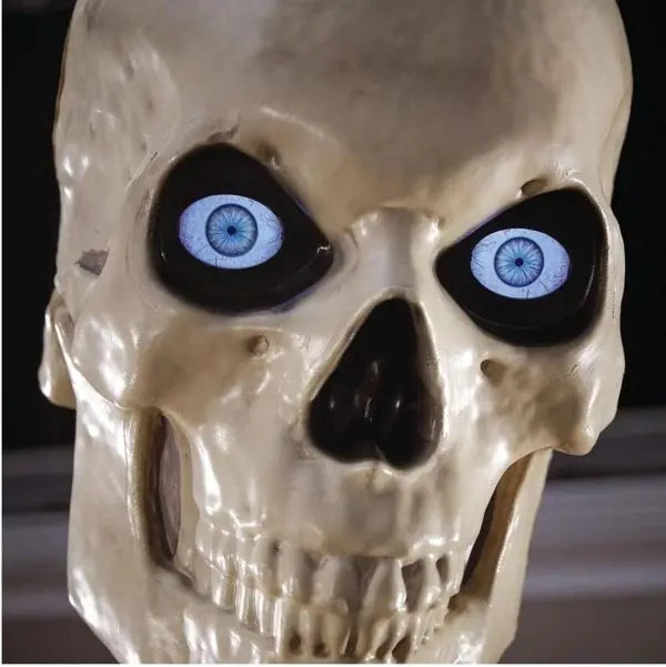 Home Accents 12 ft Giant Skeleton with LifeEyes, 95 lbs – Halloween Decoration