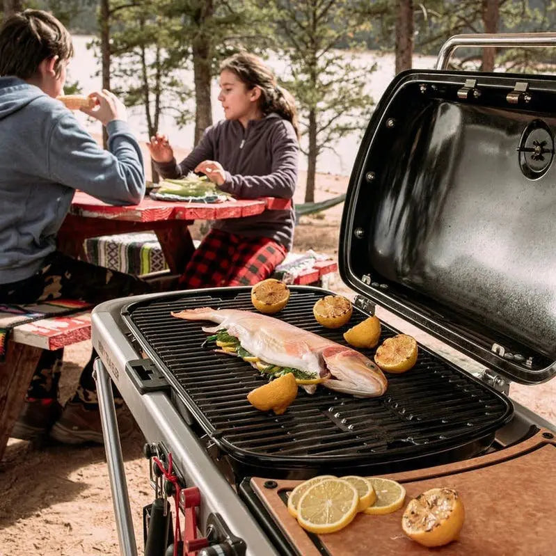 Weber Traveler Portable Propane Grill – Compact, Foldable Gas Grill for On-the-Go Cooking