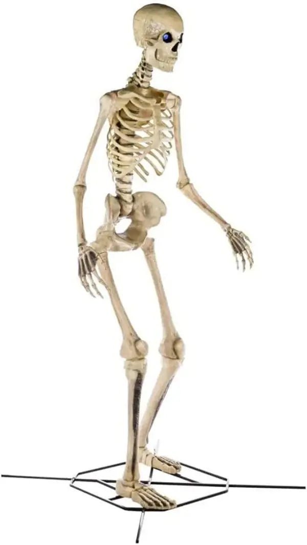 Home Accents 12 ft Giant Skeleton with LifeEyes, 95 lbs – Halloween Decoration