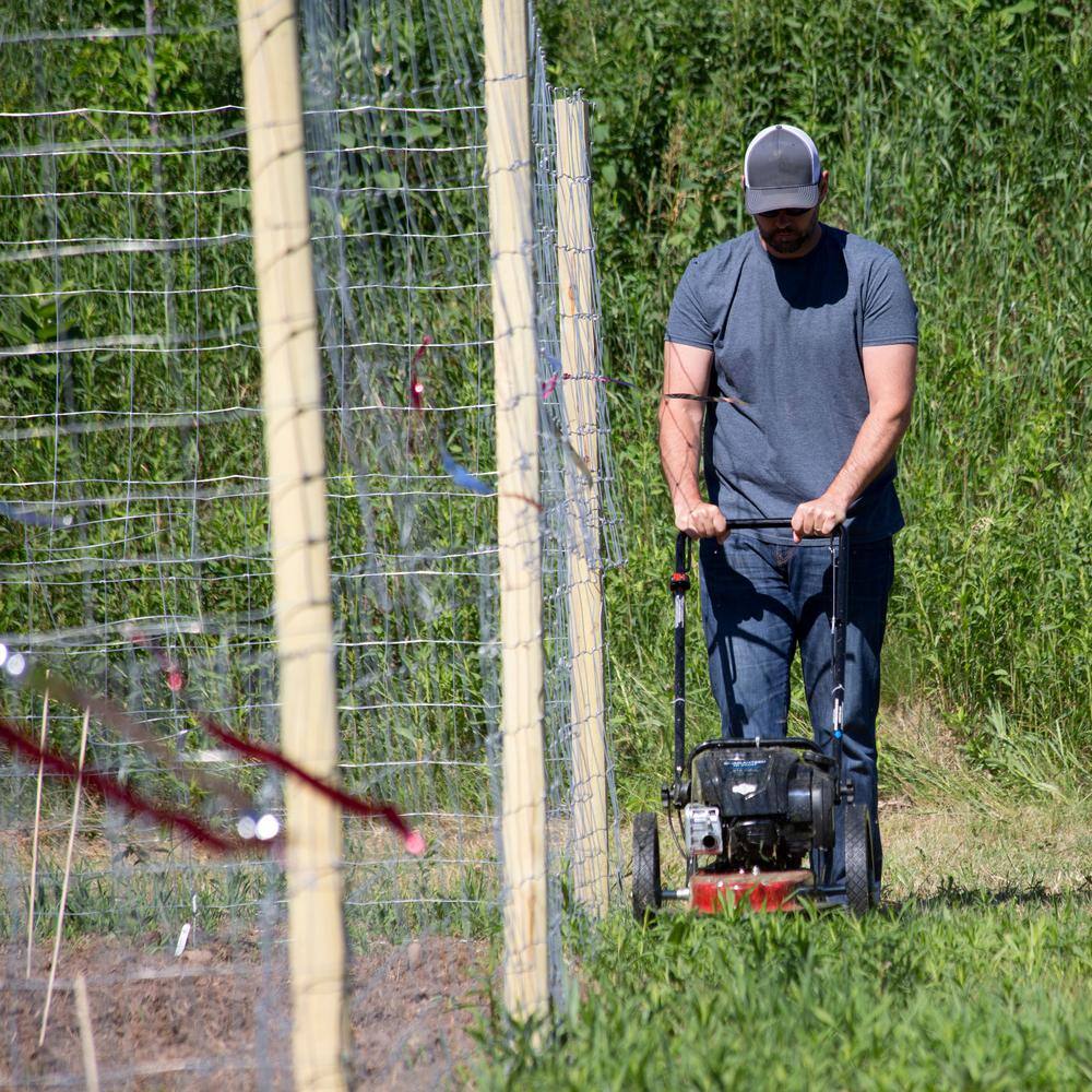 Toro 58620 22 in. 163cc Walk Behind String Mower . Cutting Swath with 4-Cycle Briggs and Stratton Engine